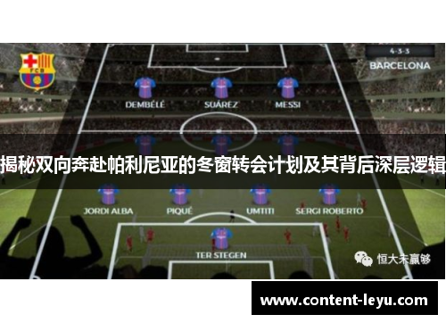 揭秘双向奔赴帕利尼亚的冬窗转会计划及其背后深层逻辑