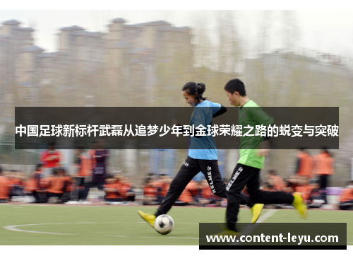 中国足球新标杆武磊从追梦少年到金球荣耀之路的蜕变与突破
