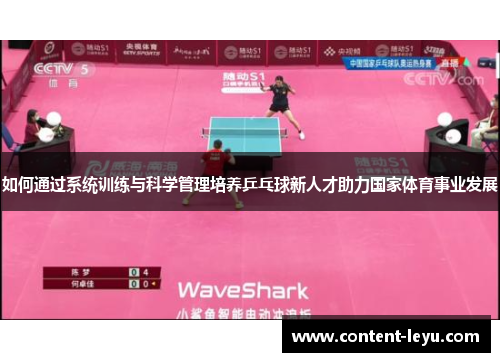 如何通过系统训练与科学管理培养乒乓球新人才助力国家体育事业发展