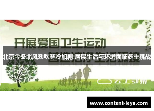 北京今冬北风劲吹寒冷加剧 居民生活与环境面临多重挑战