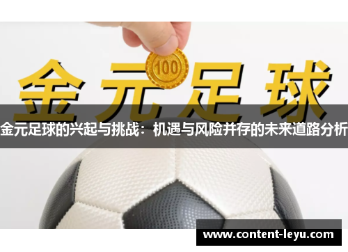 金元足球的兴起与挑战：机遇与风险并存的未来道路分析