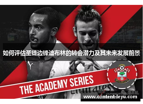 如何评估圣徒边锋迪布林的转会潜力及其未来发展前景